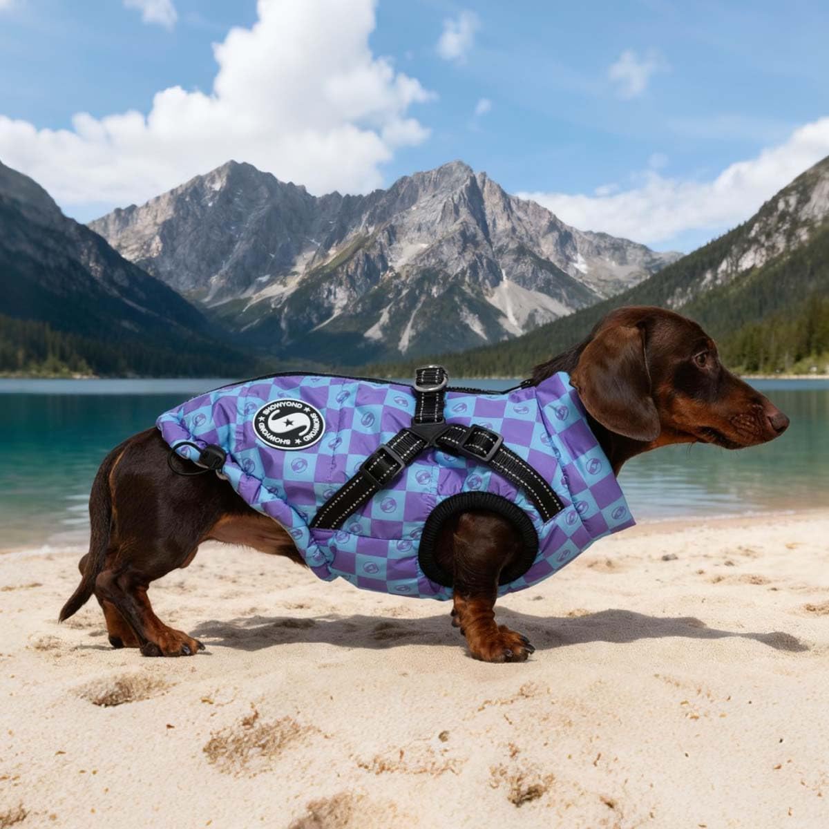 Dachshund Coat Waterproof Fashion Winter Warm Zip Up Dog Coat with Harness Dog Jacket for Puppy Small Medium Large Dogs