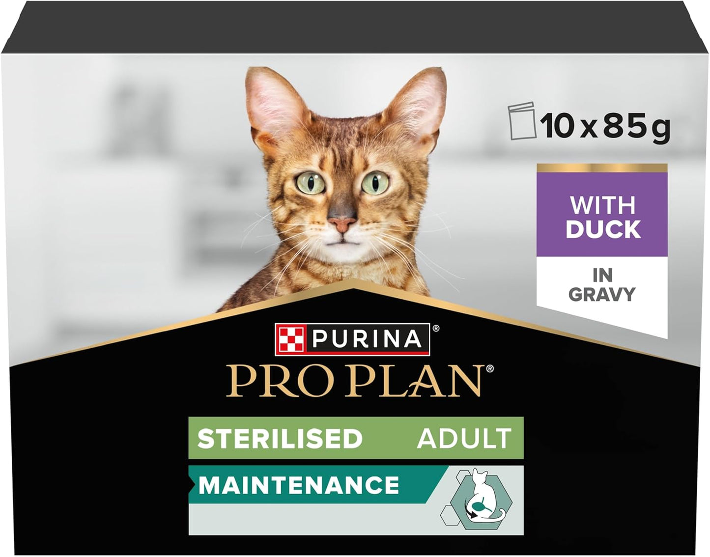 Purina Pro Plan Kitten Healthy Start — Kitten Dry Food | Chicken, Turkey, Duck, Ocean Fish, Delicate Digestion