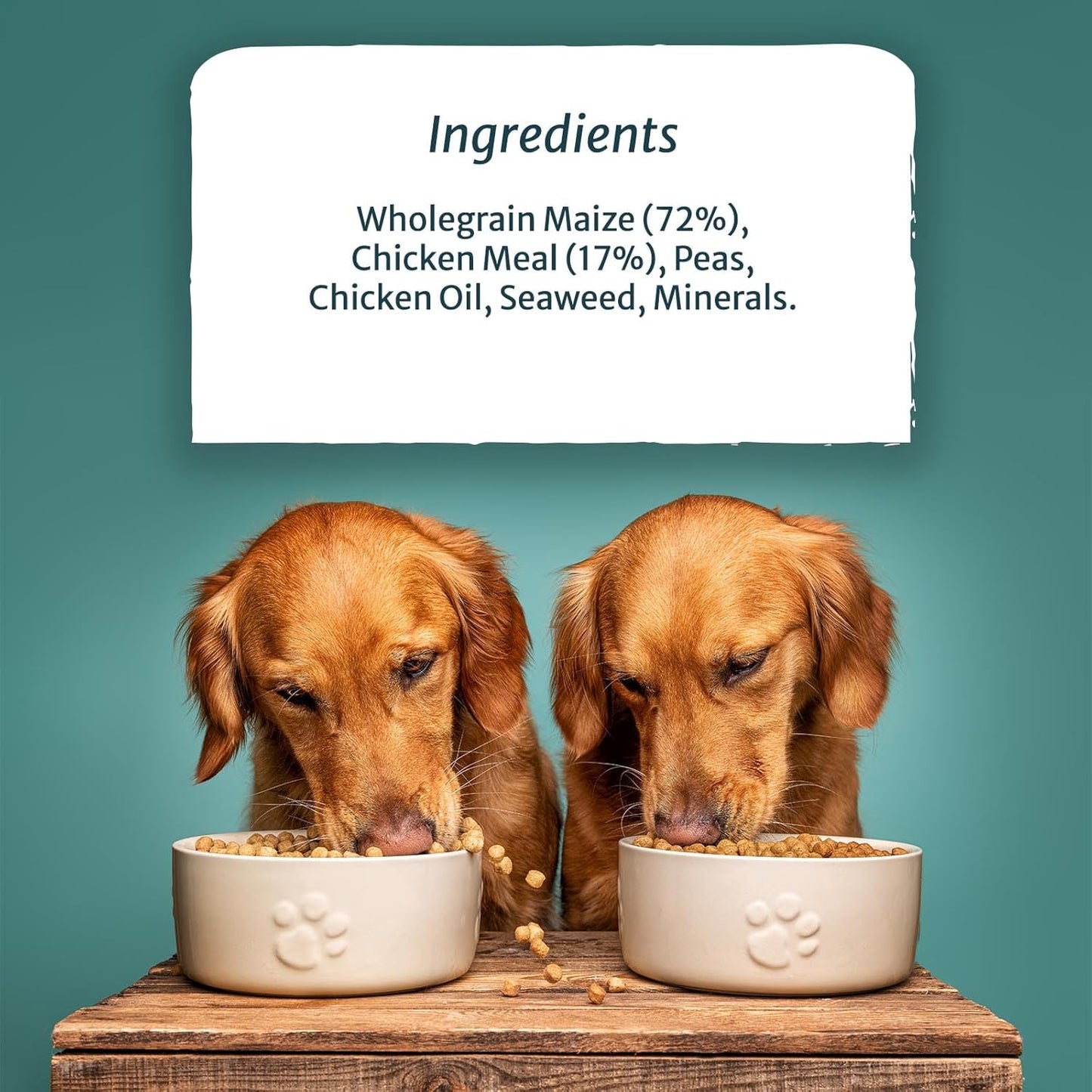 Burns Pet Nutrition Hypoallergenic Complete Dry Dog Food Adult and Senior Dog Sensitive