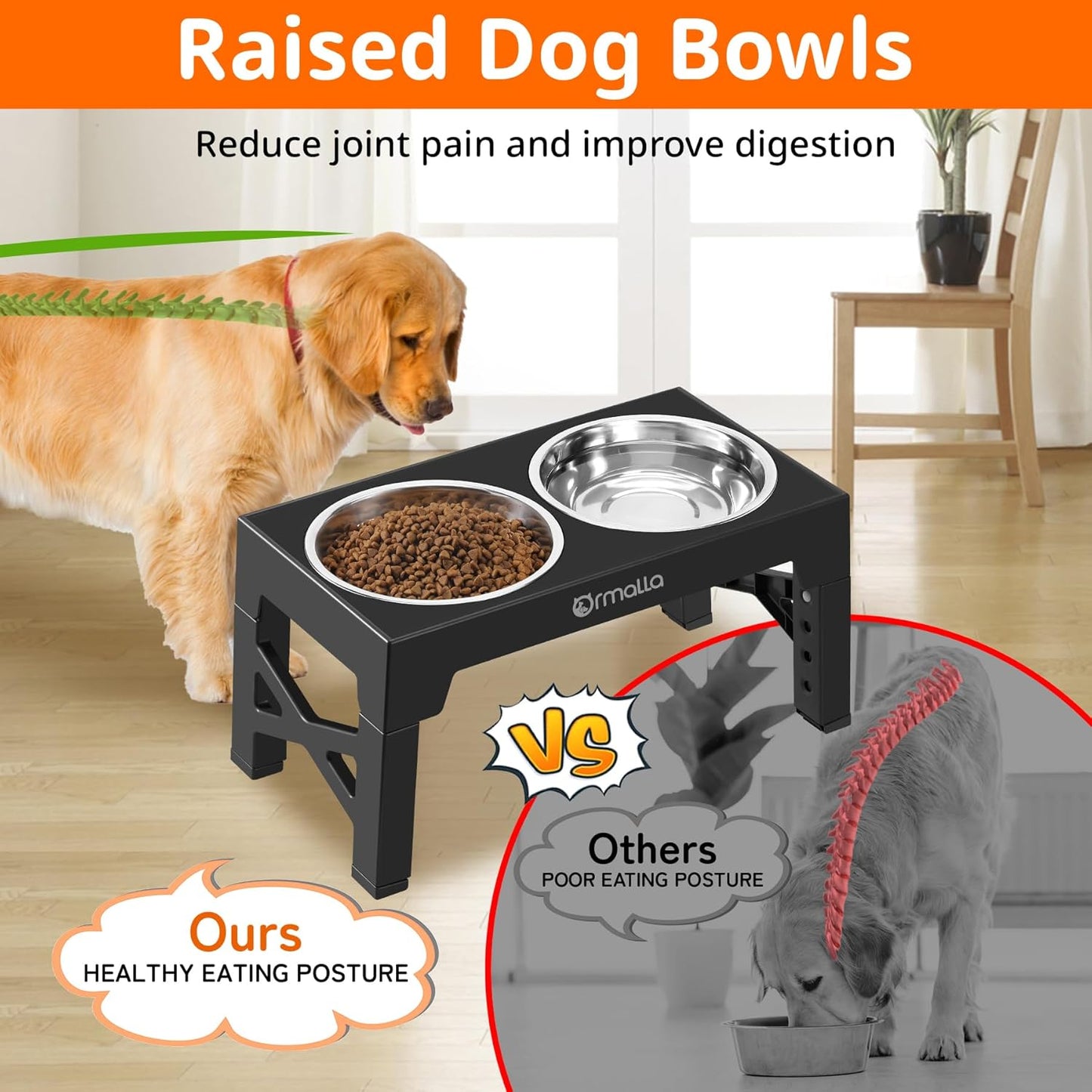Elevated Dog Bowls with Slow Feeder