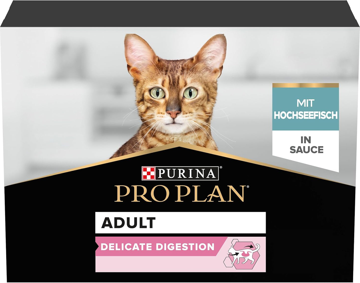 Purina Pro Plan Kitten Healthy Start — Kitten Dry Food | Chicken, Turkey, Duck, Ocean Fish, Delicate Digestion