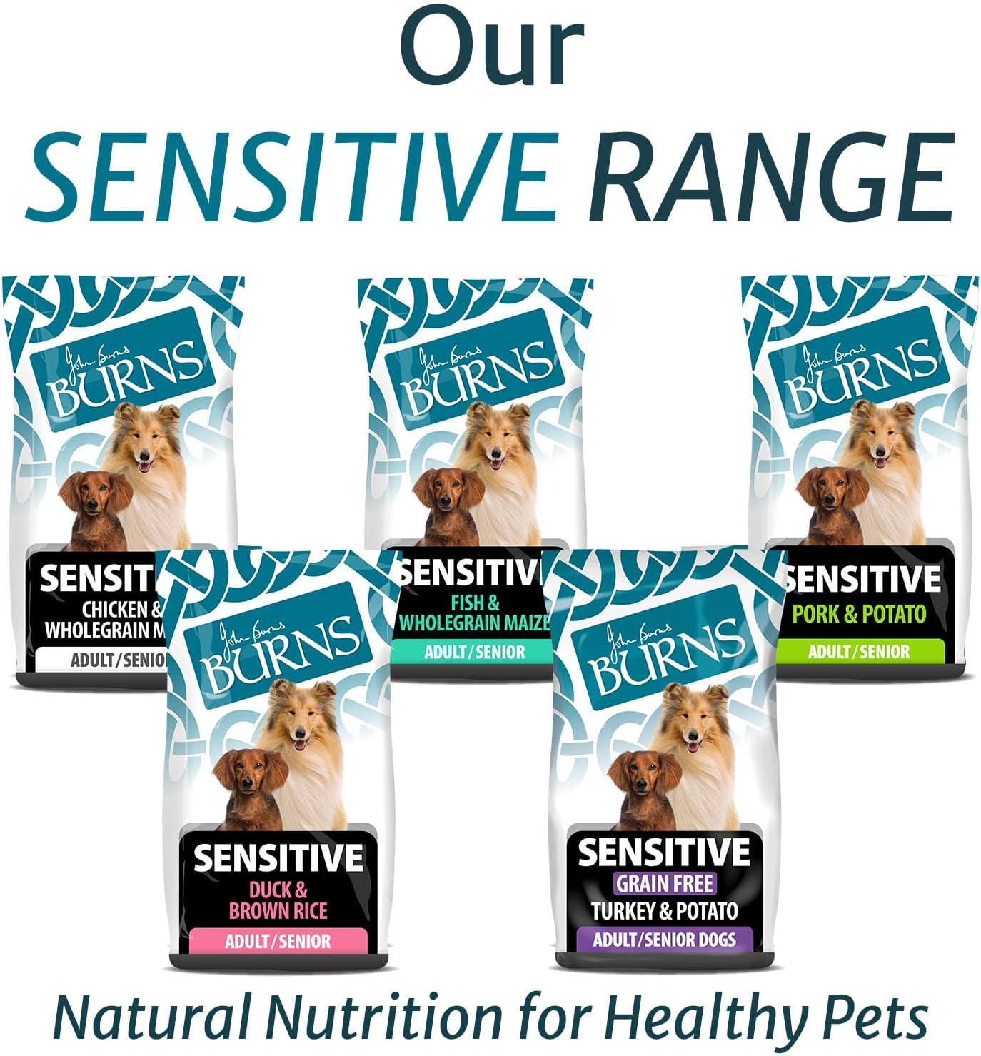 Burns Pet Nutrition Hypoallergenic Complete Dry Dog Food Adult and Senior Dog Sensitive