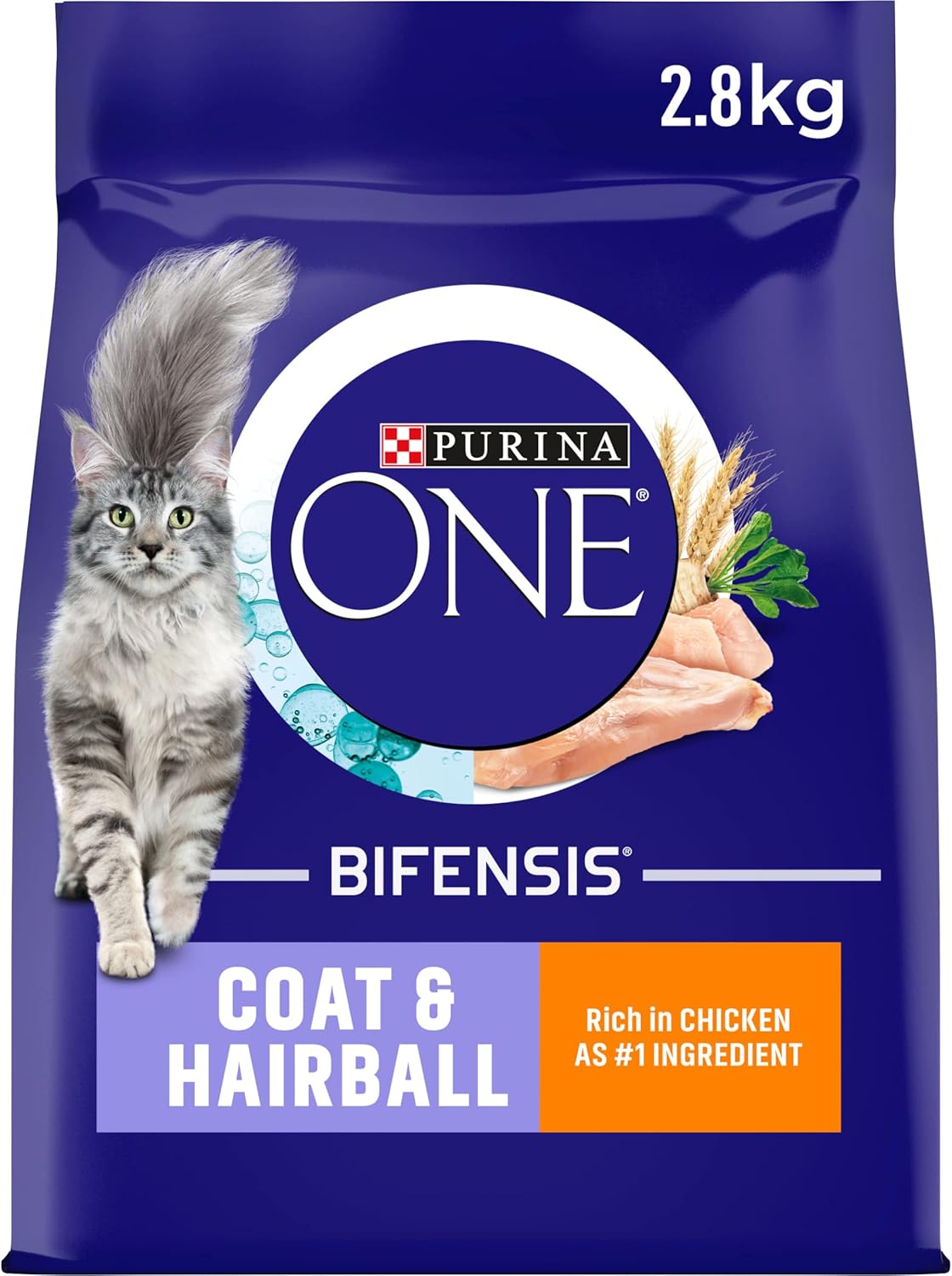 Purina ONE Dry Cat Food – Kitten, Adult & Senior