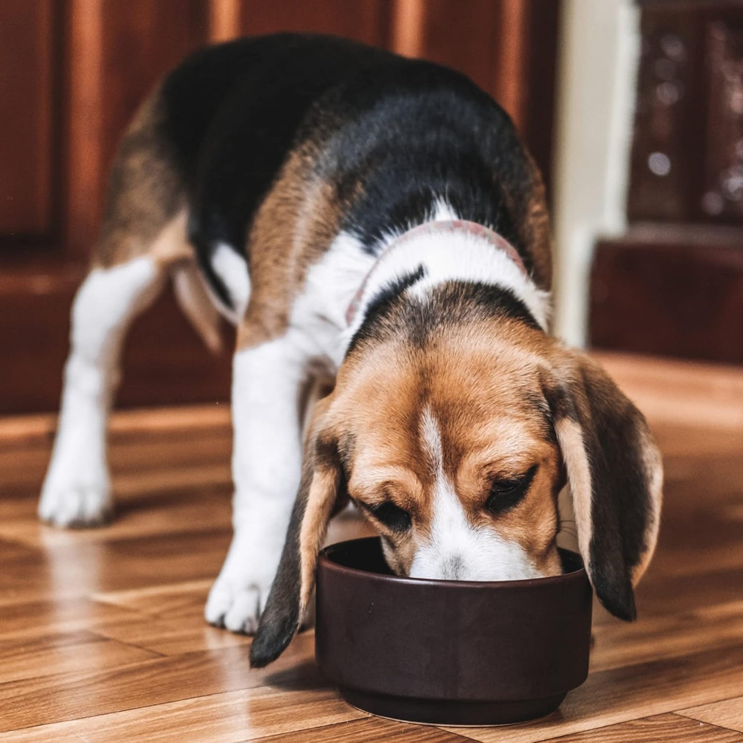 Arden Grange Super Premium Adult Dog Food – Hypoallergenic Dry Food