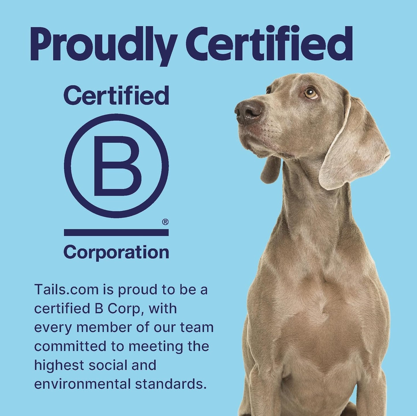 Tails.com Inner Vitality Adult Wet Dog Food – Premium Grain Free Meals for Adult Dogs