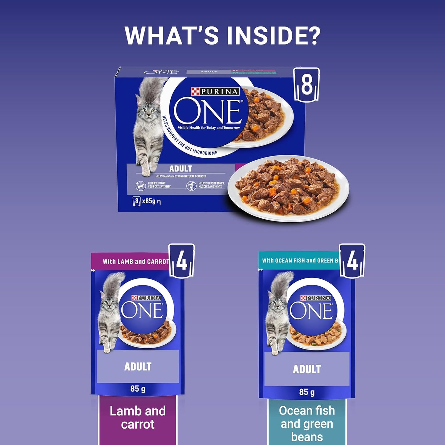 PURINA ONE wet cat food for Kitten Adult Senior Cats