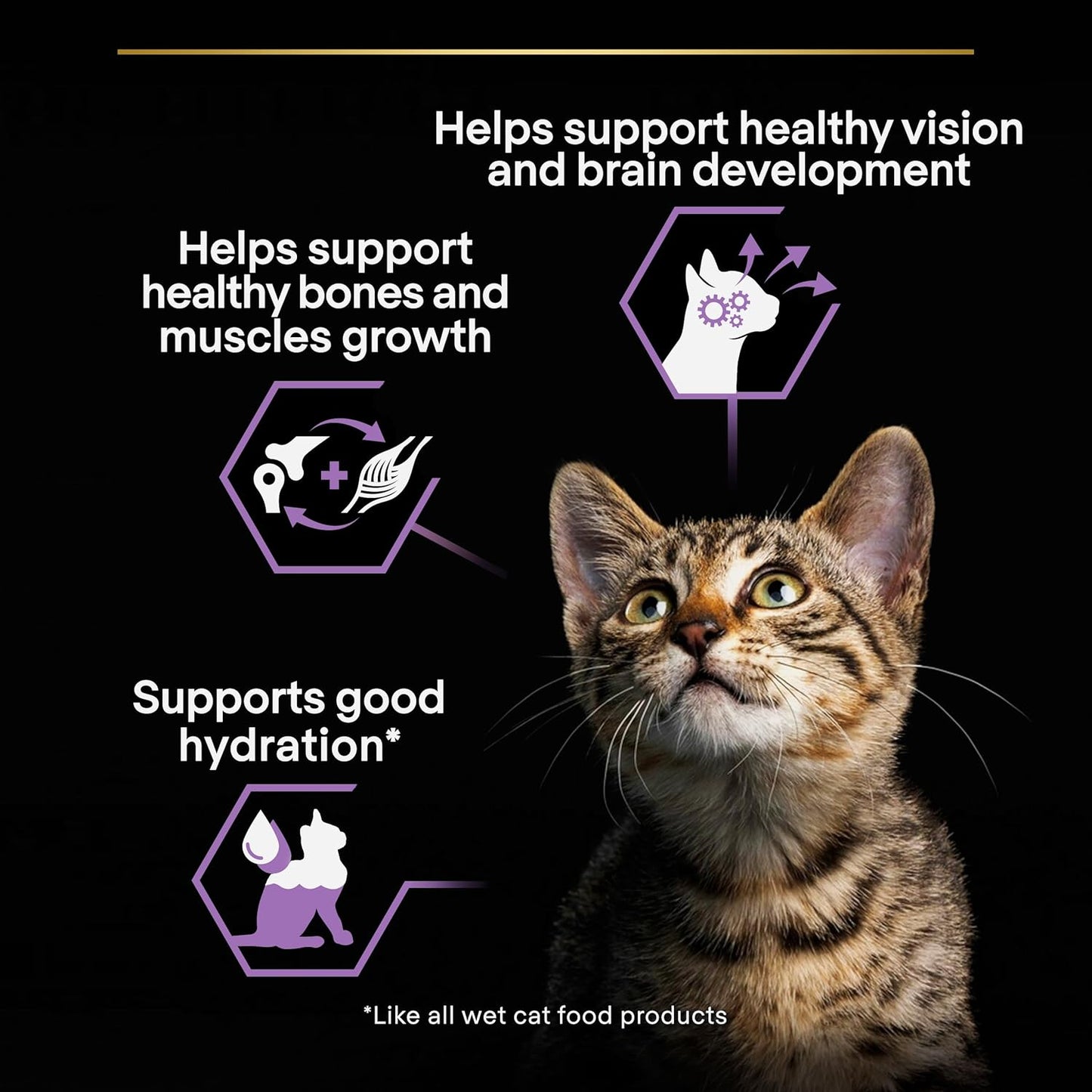 Purina Pro Plan Kitten Healthy Start — Kitten Dry Food | Chicken, Turkey, Duck, Ocean Fish, Delicate Digestion