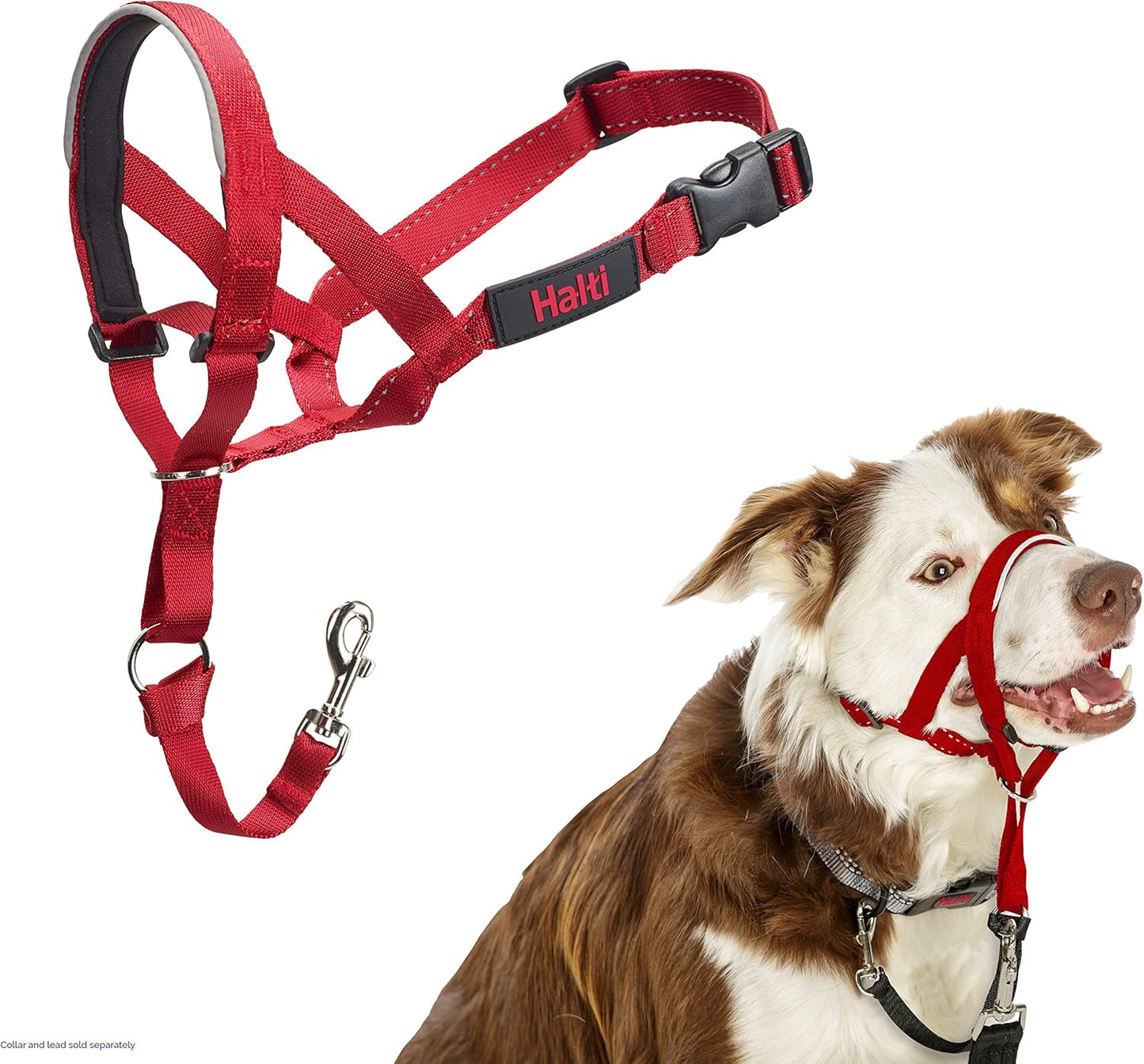 HALTI Headcollar UK Bestselling Dog Head Harness to Stop Pulling on the Lead, Easy to Use, Padded Nose Band, Adjustable & Reflective, Professional Anti-Pull Training Aid for Large Dogs