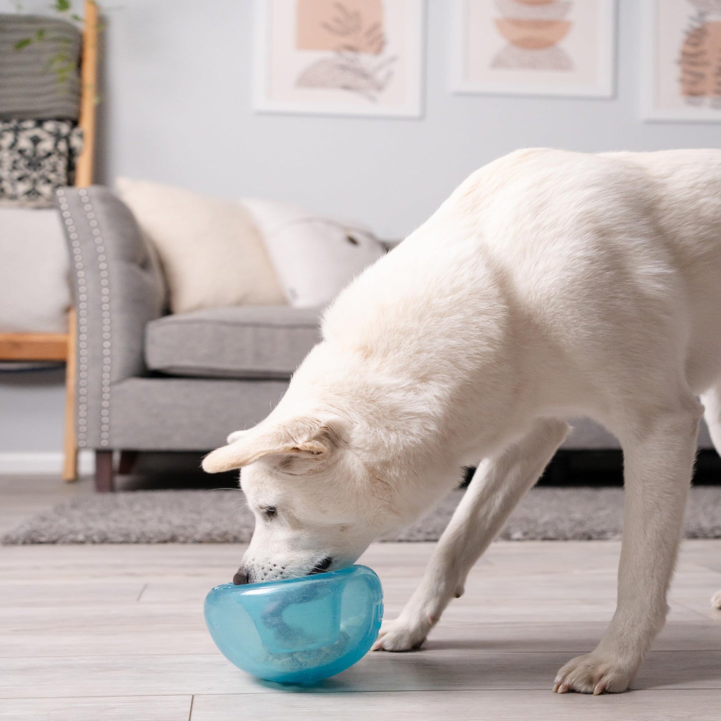 Outward Hound by Planet Dog Snoop Durable Interactive Treat Dispensing Dog Toy, Large, Blue