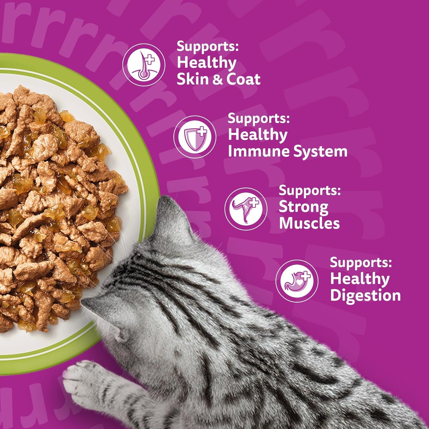Whiskas 1+ Adult Wet Cat Food – Delicious Complete Meals for Adult Cats