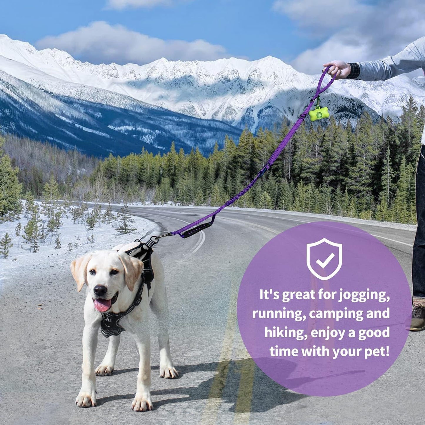 Iokheira 5FT Strong Dog Lead No Pull, Reflective Shock Absorbing Bungee Lead with Two Padded Handle & Car Seat Belt Buckle, Adjustable Dog Leash Heavy Duty for Small Medium Large Dogs (Purple)