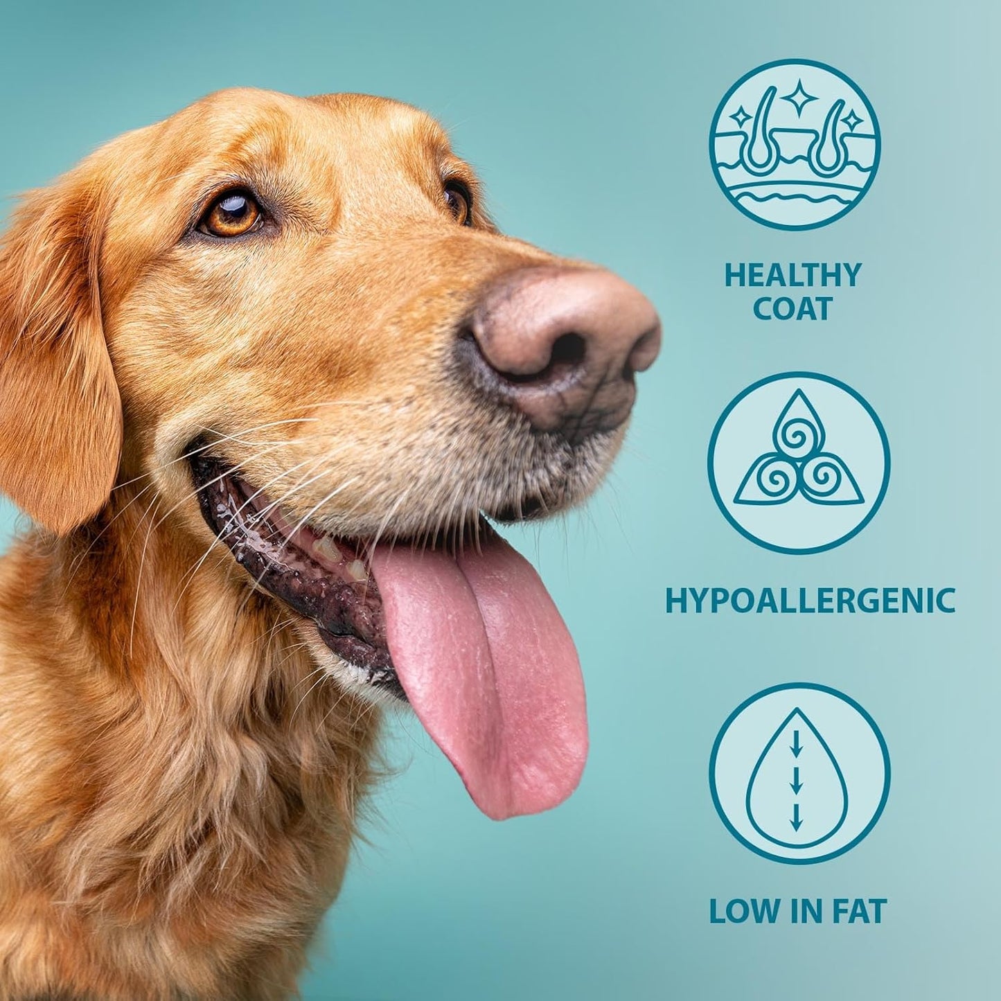 Burns Pet Nutrition Hypoallergenic Complete Dry Dog Food Original Adult and Senior