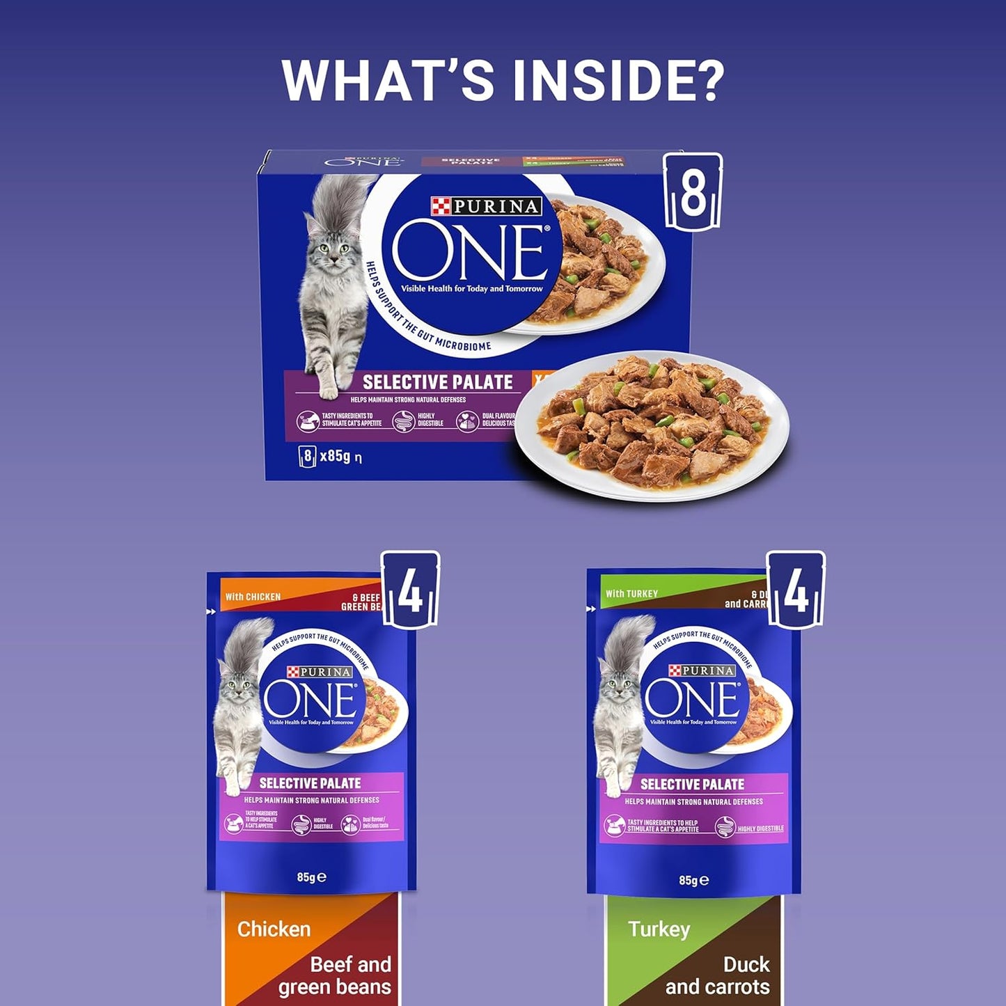 PURINA ONE wet cat food for Kitten Adult Senior Cats