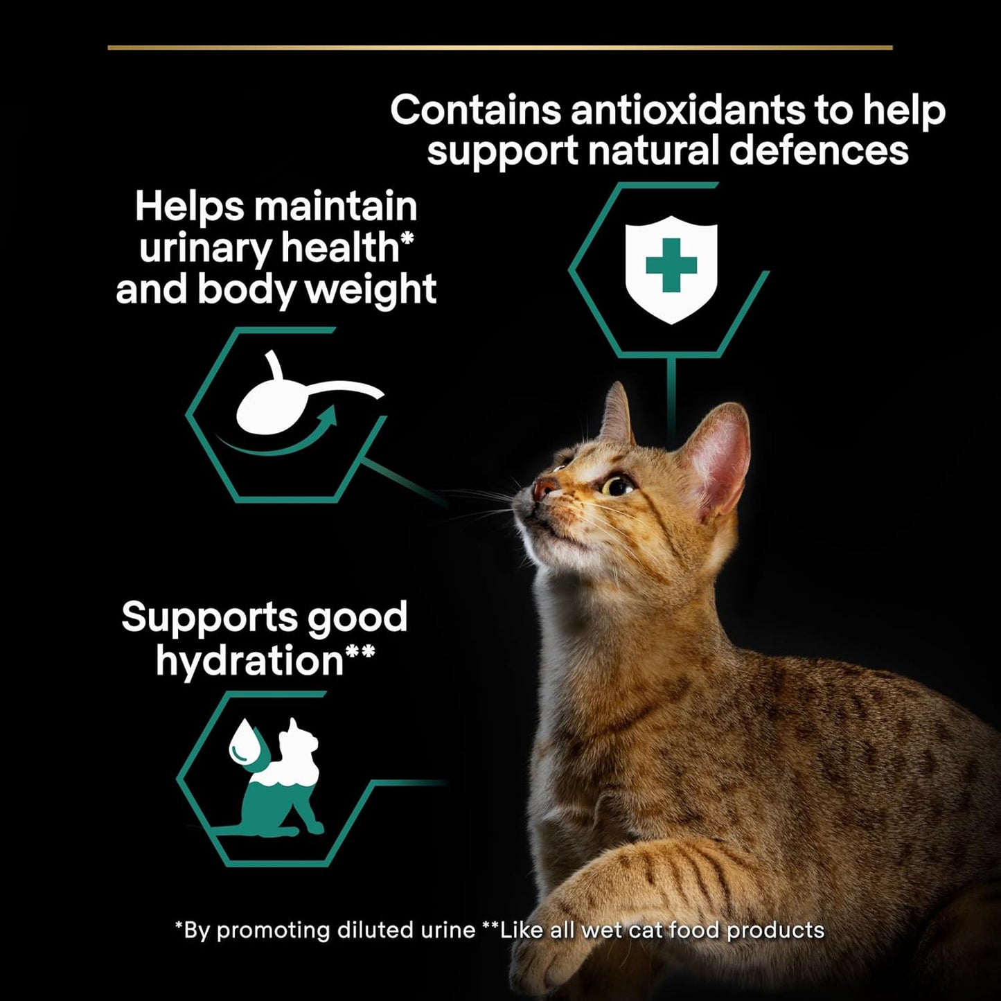 Purina Pro Plan Kitten Healthy Start — Kitten Dry Food | Chicken, Turkey, Duck, Ocean Fish, Delicate Digestion