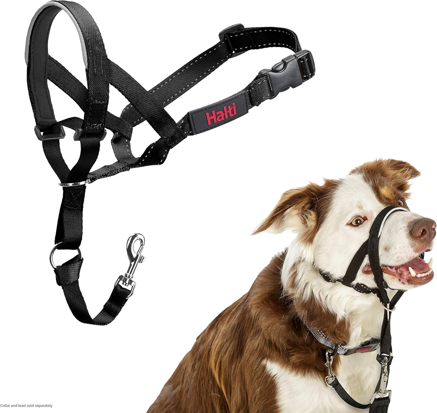 HALTI Headcollar UK Bestselling Dog Head Harness to Stop Pulling on the Lead, Easy to Use, Padded Nose Band, Adjustable & Reflective, Professional Anti-Pull Training Aid for Large Dogs