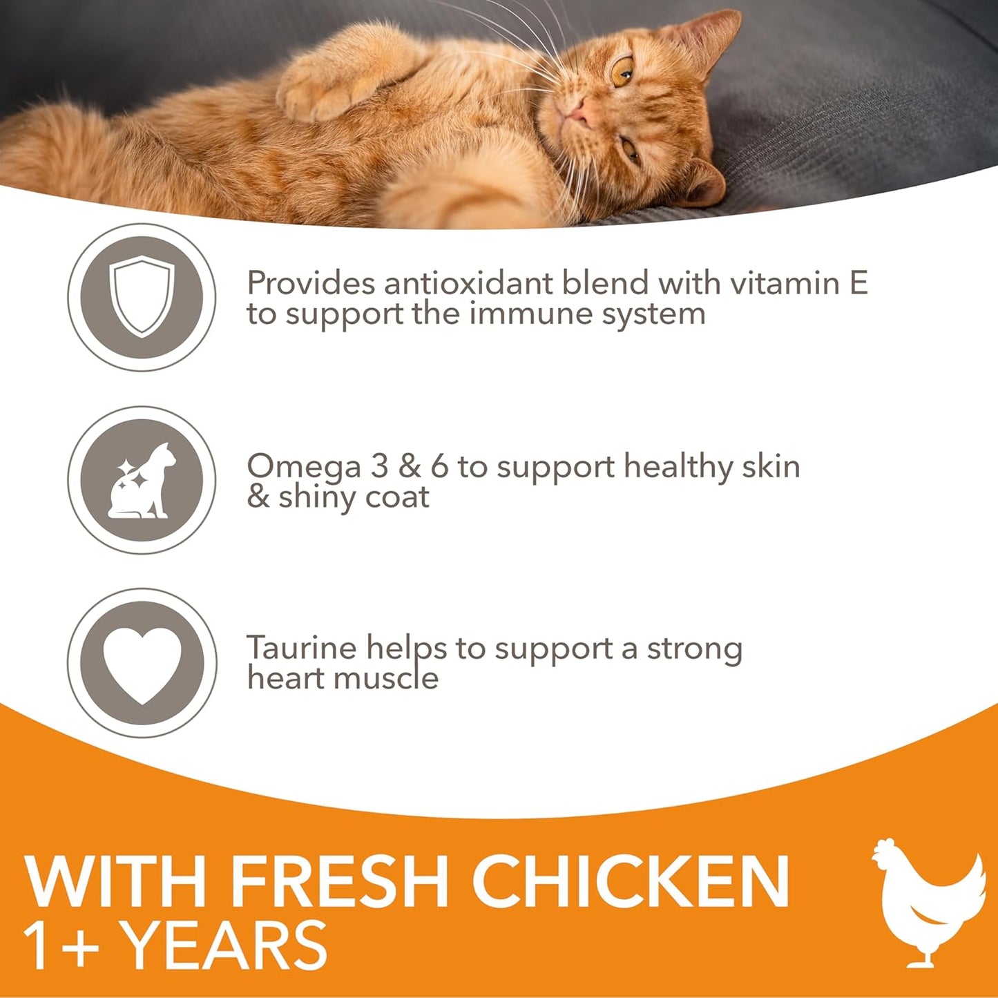 IAMS for Vitality Adult Cat Food – Dry Food with High Animal Protein for Everyday Health