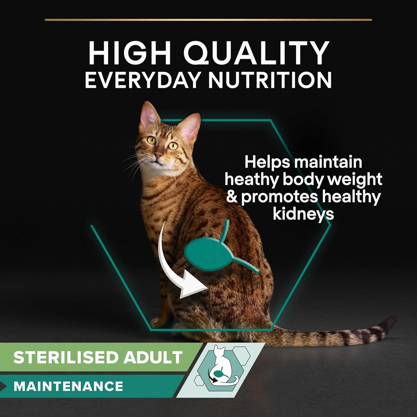 Purina Pro Plan Kitten Healthy Start — Kitten Dry Food | Chicken, Turkey, Duck, Ocean Fish, Delicate Digestion