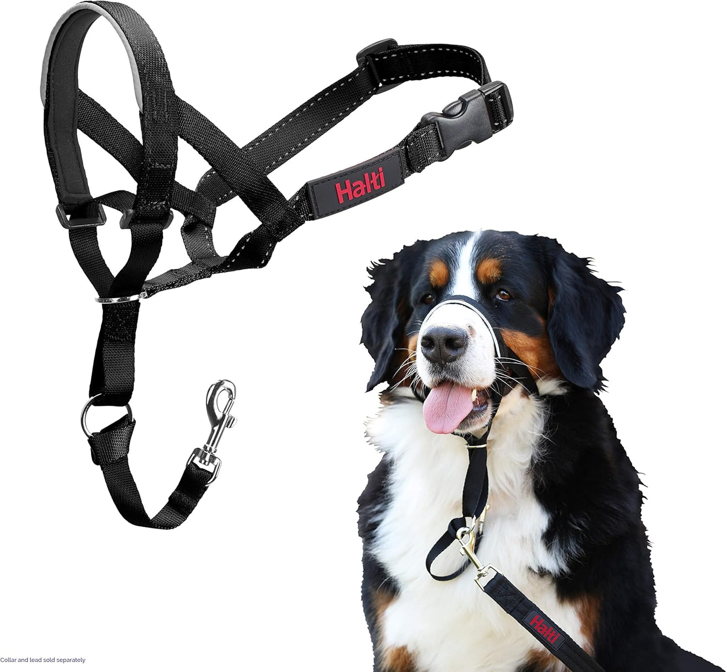 HALTI Headcollar UK Bestselling Dog Head Harness to Stop Pulling on the Lead, Easy to Use, Padded Nose Band, Adjustable & Reflective, Professional Anti-Pull Training Aid for Large Dogs