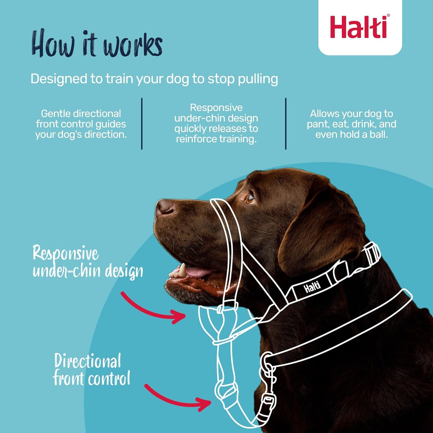 HALTI Headcollar UK Bestselling Dog Head Harness to Stop Pulling on the Lead, Easy to Use, Padded Nose Band, Adjustable & Reflective, Professional Anti-Pull Training Aid for Large Dogs