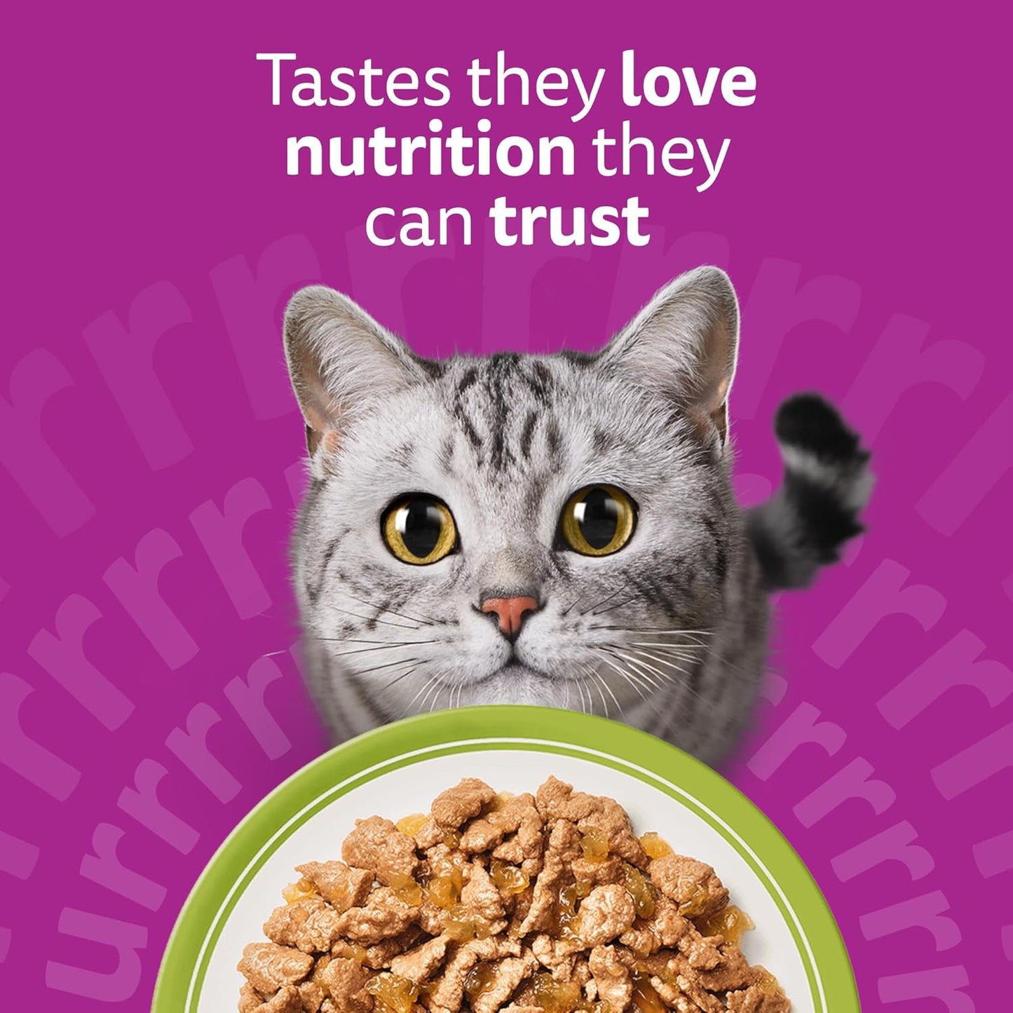 Whiskas 1+ Adult Wet Cat Food – Delicious Complete Meals for Adult Cats