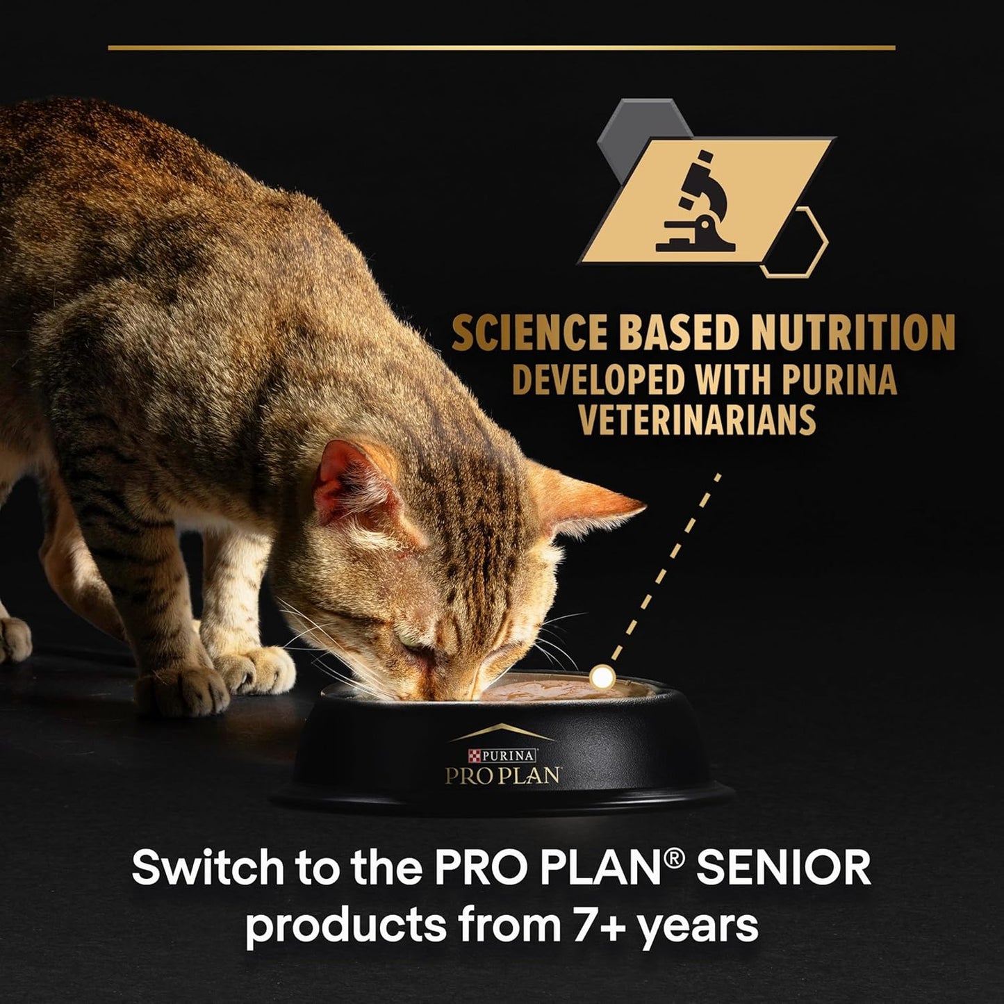 Purina Pro Plan Kitten Healthy Start — Kitten Dry Food | Chicken, Turkey, Duck, Ocean Fish, Delicate Digestion