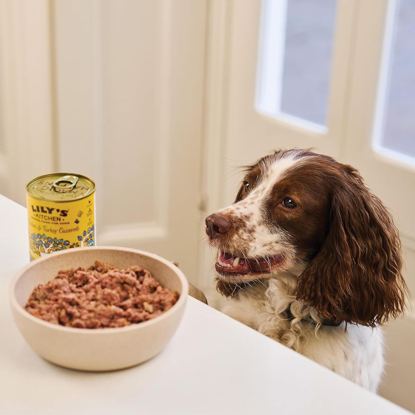 Lily’s Kitchen Natural Adult Wet Dog Food – Classic Dinners with Real Meat & Veggies