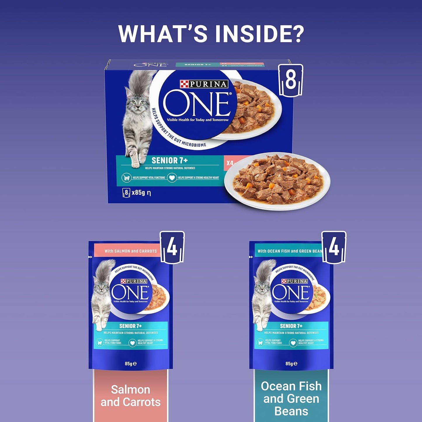 PURINA ONE wet cat food for Kitten Adult Senior Cats