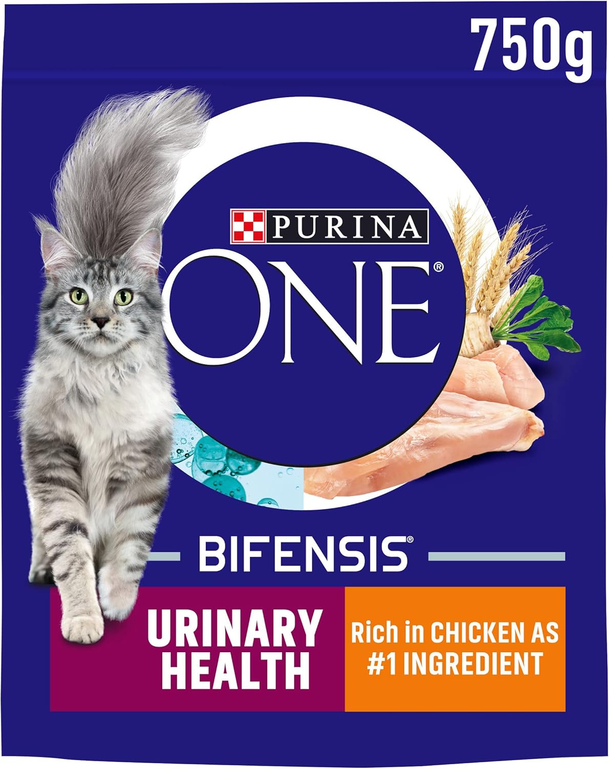 Purina ONE Dry Cat Food – Kitten, Adult & Senior