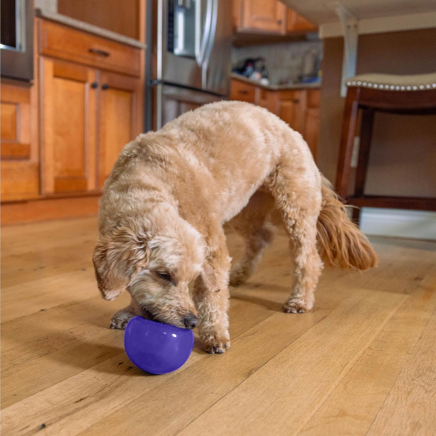 Outward Hound by Planet Dog Snoop Durable Interactive Treat Dispensing Dog Toy, Large, Blue