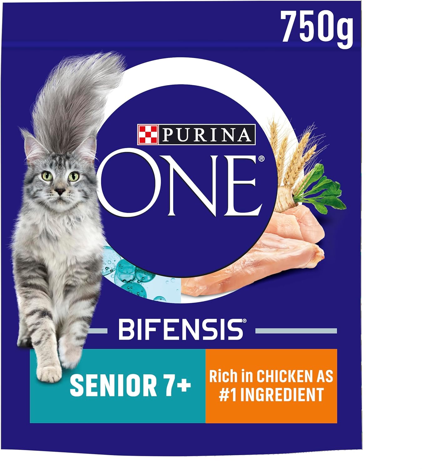 Purina ONE Dry Cat Food – Kitten, Adult & Senior