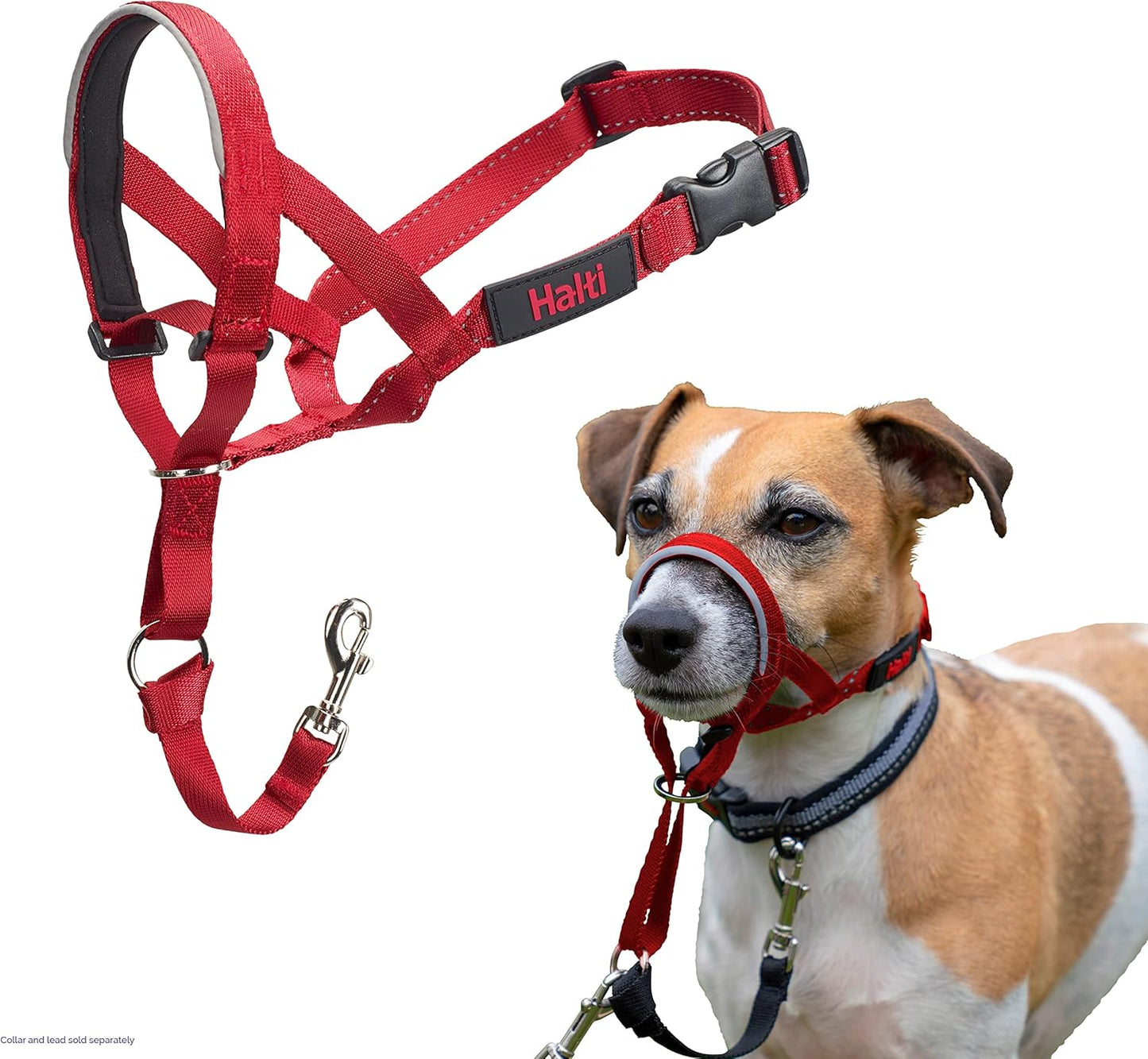 HALTI Headcollar UK Bestselling Dog Head Harness to Stop Pulling on the Lead, Easy to Use, Padded Nose Band, Adjustable & Reflective, Professional Anti-Pull Training Aid for Large Dogs