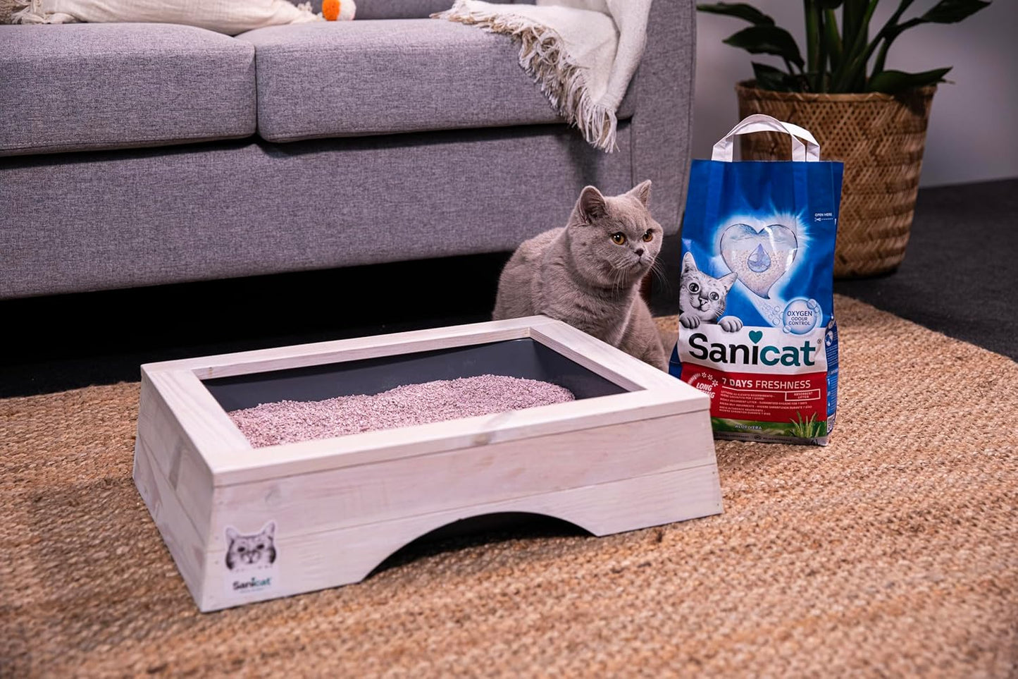 Sanicat - Classic cat litter with Aloe Vera | 7-day odour control | Fast absorption | product for your pet’s hygiene Keep Your Home Clean