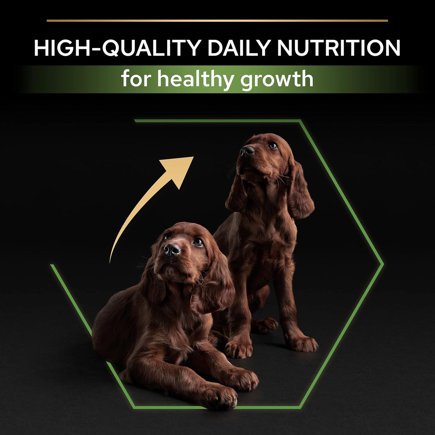 PRO PLAN® Large Athletic Puppy Healthy Start Dry Dog Food