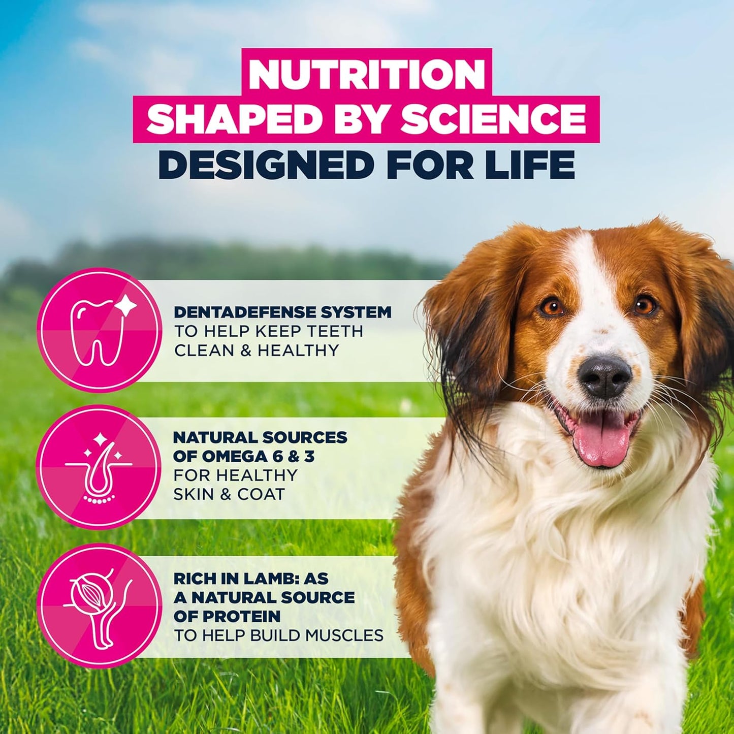 Eukanuba Lamb & Rice - Complete Dry Dog Food - For Adult Small & Medium Breed Dogs 3KG