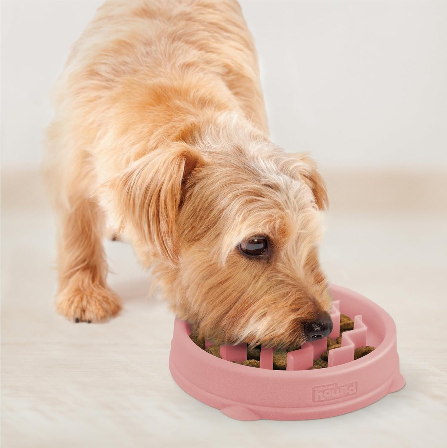 Outward Hound Puppy Slow Feeder Bowl – Slows Eating, Anti-Choking & Digestive Support for Dogs & Cats