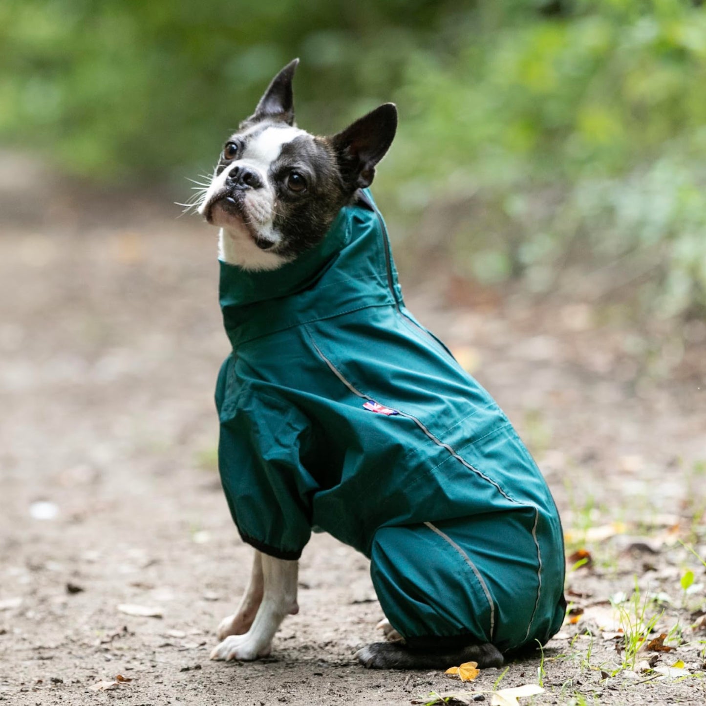 HUGO & HUDSON Dog Reflective Jacket Protective Overalls - Warm Outdoor Winter Windproof Dog Coat Vest for Small, Medium, Large & XL Dogs - Teal - S35