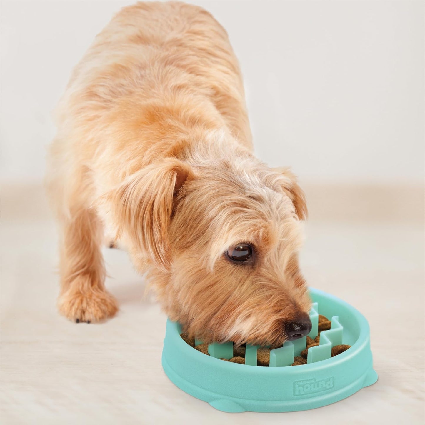 Outward Hound Puppy Slow Feeder Bowl – Slows Eating, Anti-Choking & Digestive Support for Dogs & Cats