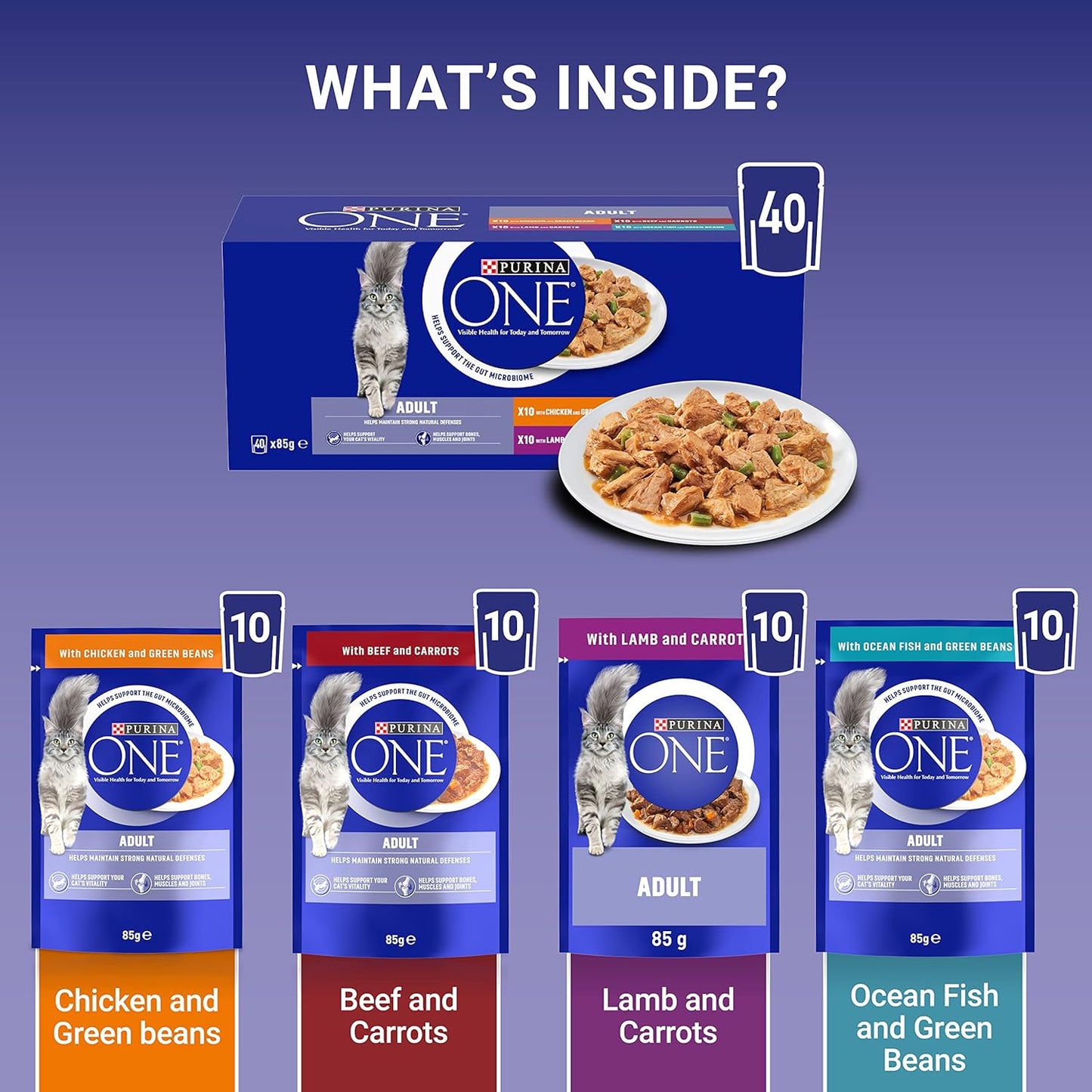 PURINA ONE wet cat food for Kitten Adult Senior Cats