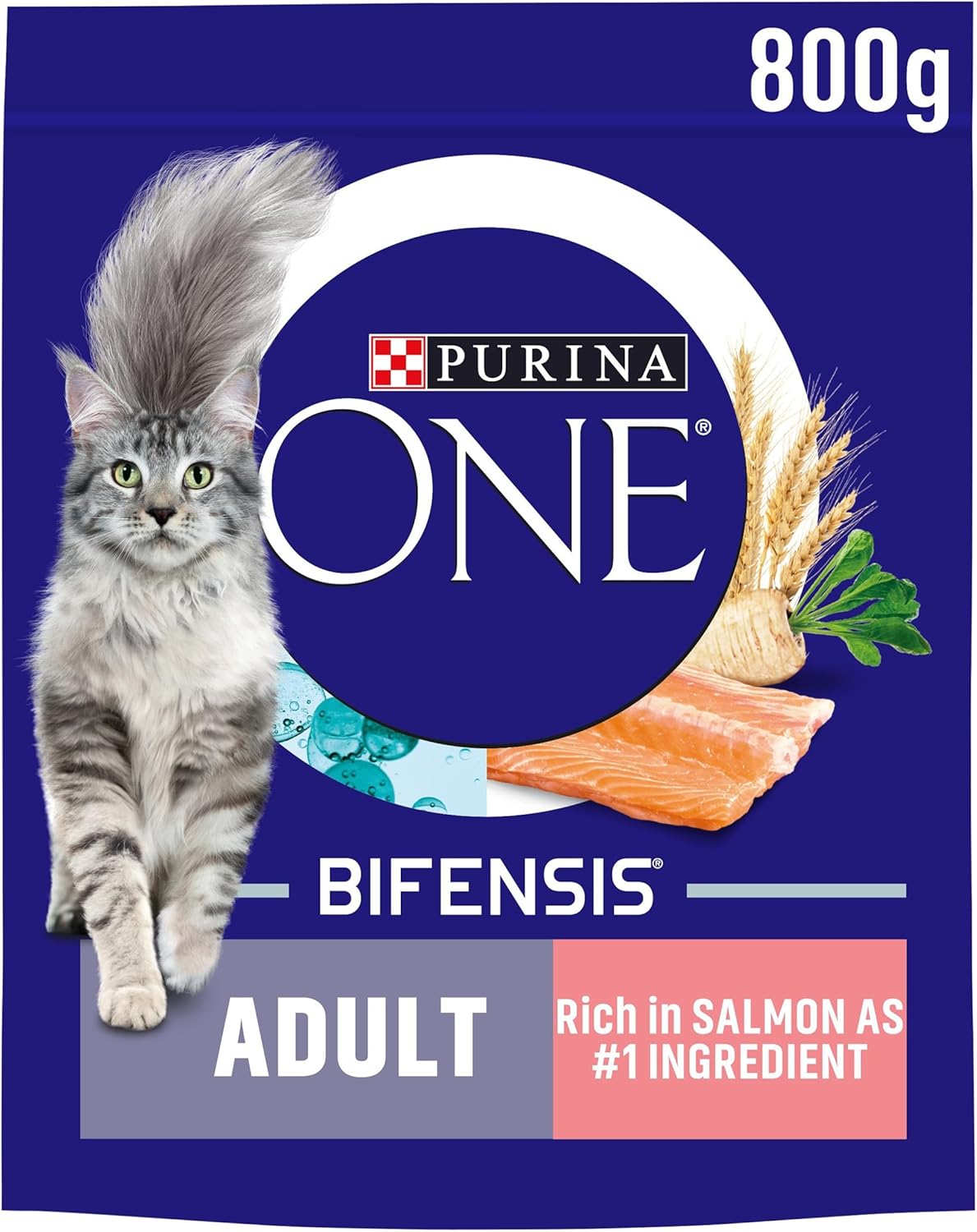 Purina ONE Dry Cat Food – Kitten, Adult & Senior