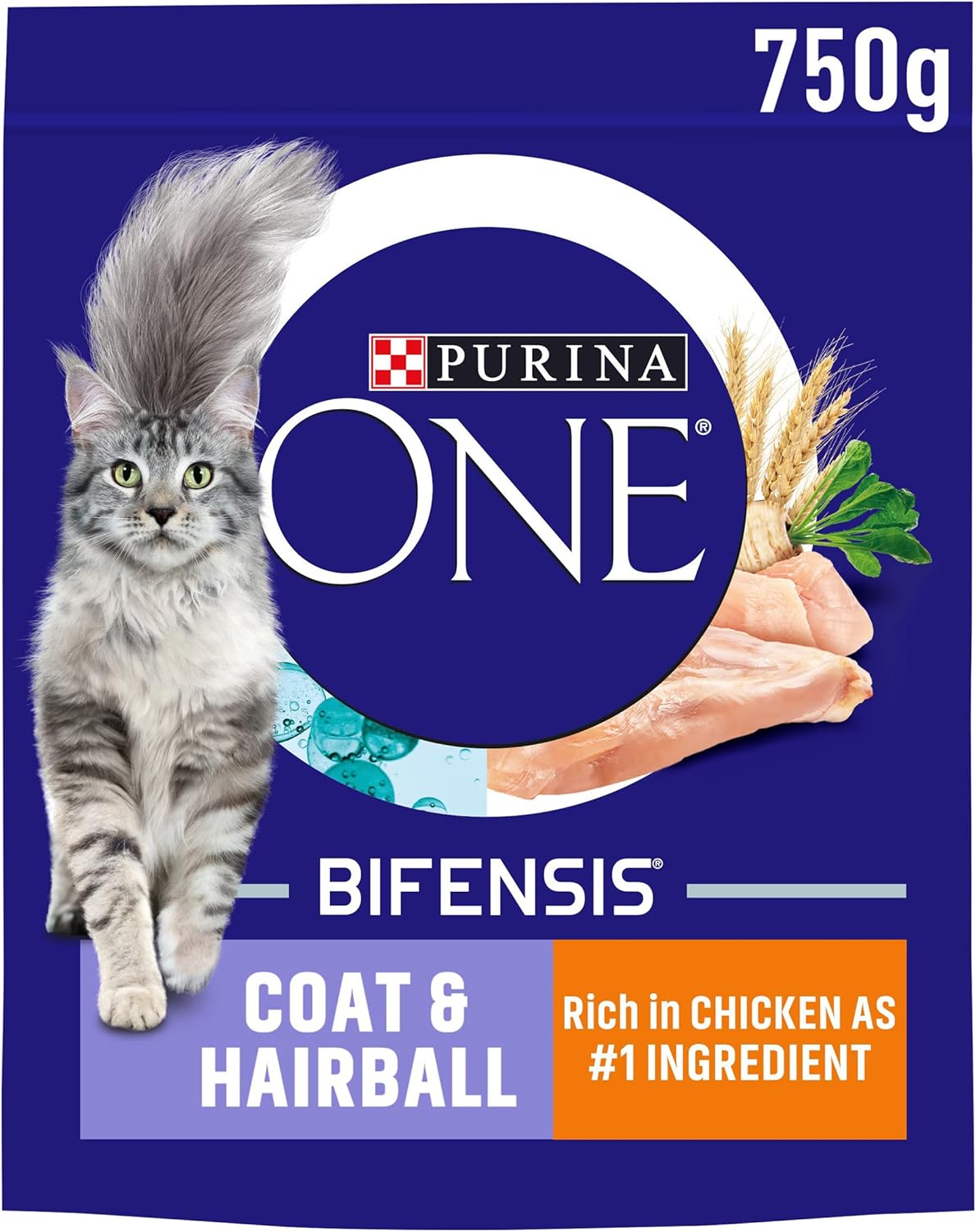 Purina ONE Dry Cat Food – Kitten, Adult & Senior