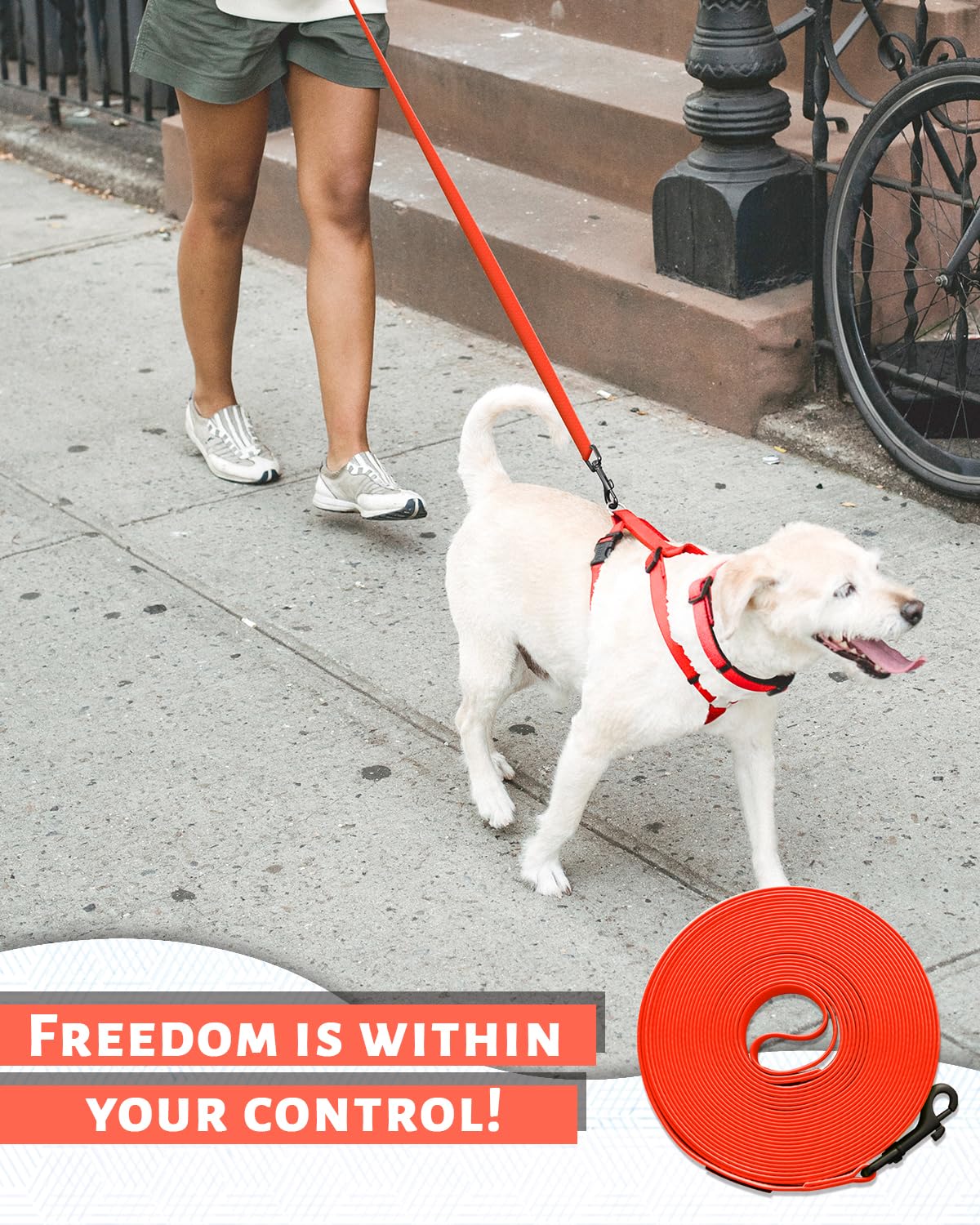 Looxmeer Training Lead for Dogs, 5m(16ft) Extra Long Line Dog Lead, Waterproof Dog Leash with Soft Padded Handle & Storage Bag for Training Recall Obedience, Tracking, Camping Play, Backyard, Orange