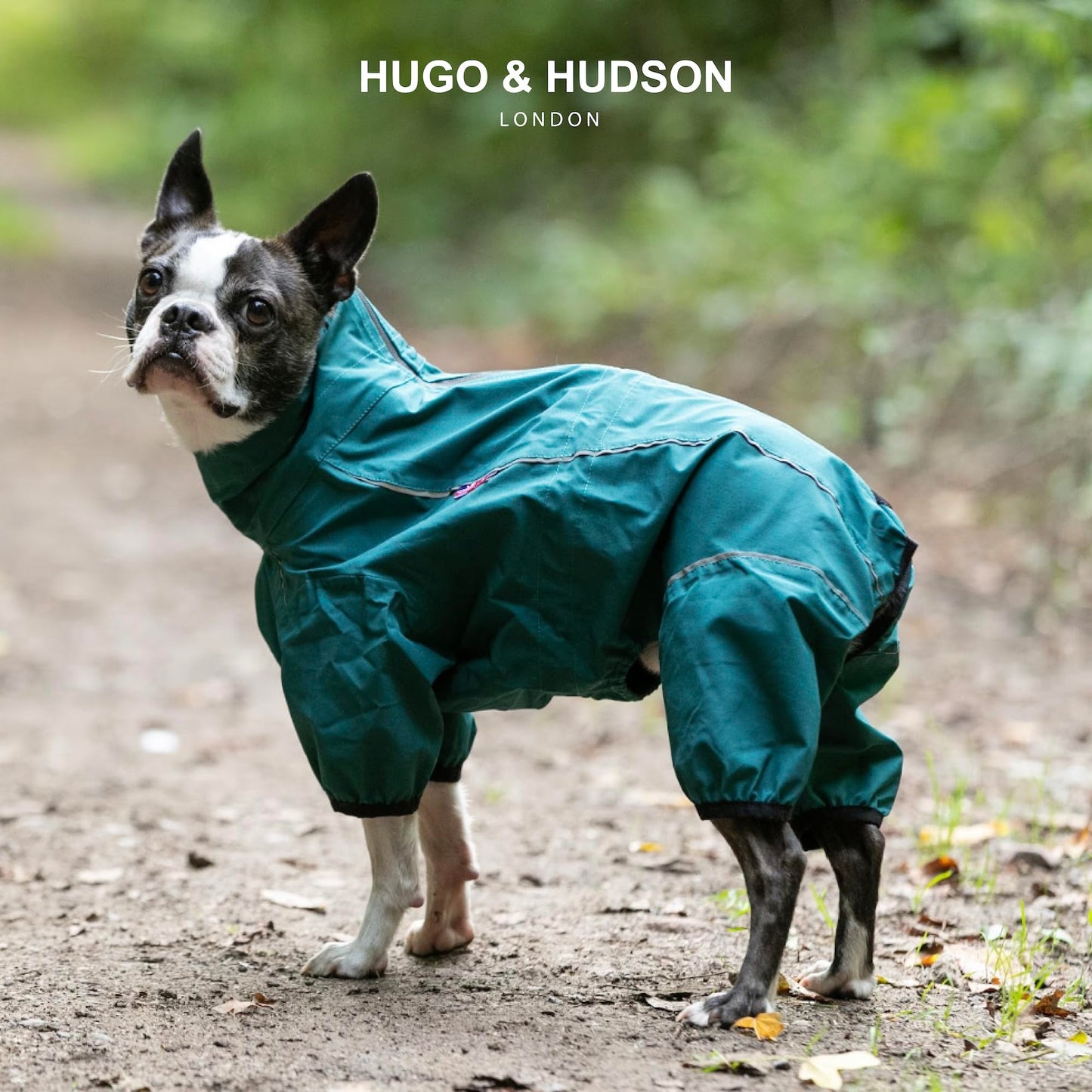 HUGO & HUDSON Dog Reflective Jacket Protective Overalls - Warm Outdoor Winter Windproof Dog Coat Vest for Small, Medium, Large & XL Dogs - Teal - S35