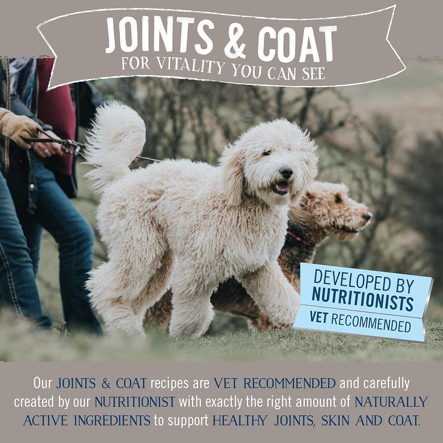 Butcher’s Grain Free Hypoallergenic Complete Wet Dog Food | Adult Joint & Coat
