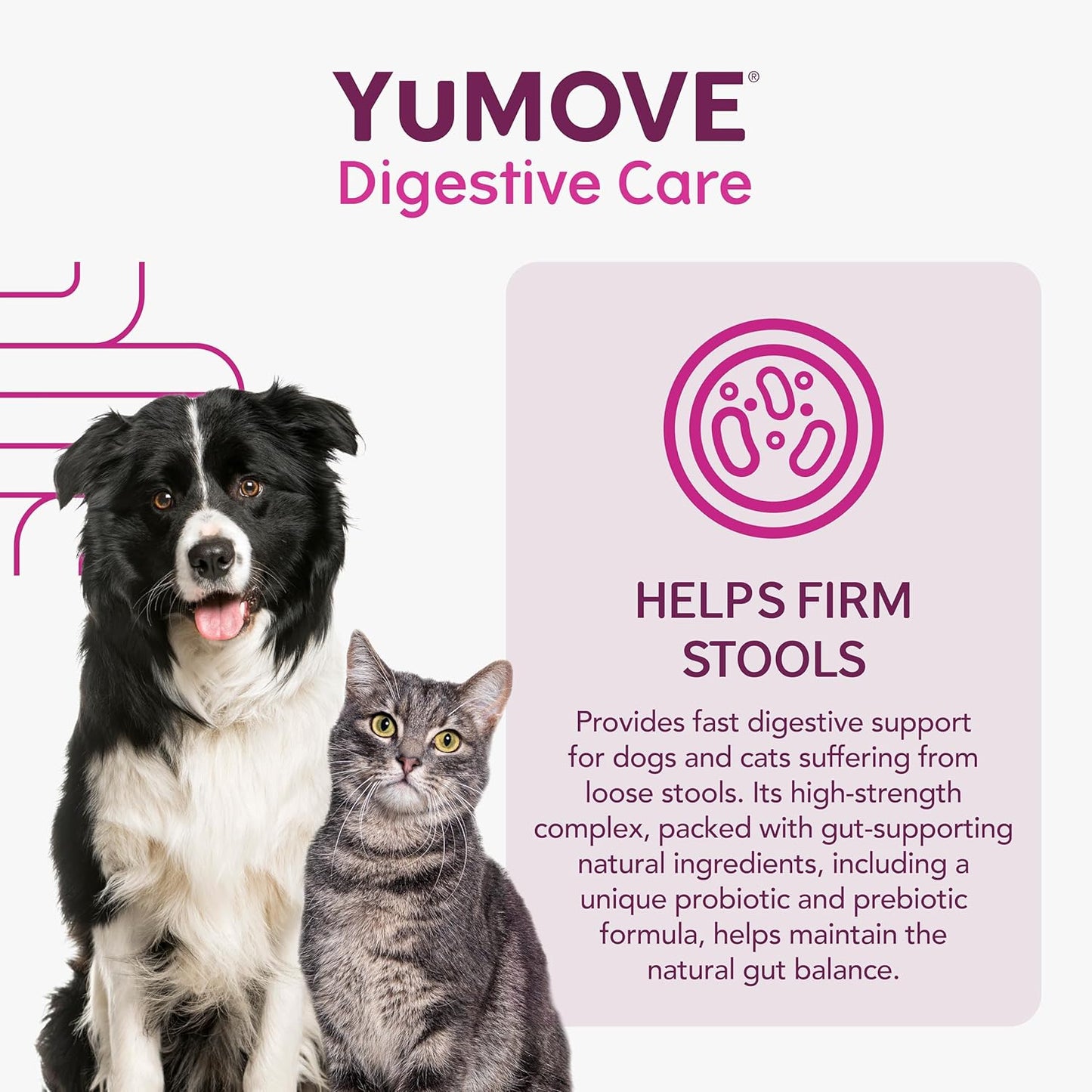 YuMOVE Digestive Care PLUS, Dogs & Cats Pre and Probiotics Supplement for Gut Health, Digestive Support Veterinary Strength with Fast-acting Ingredients, All Ages and Breeds, 60 Sachets