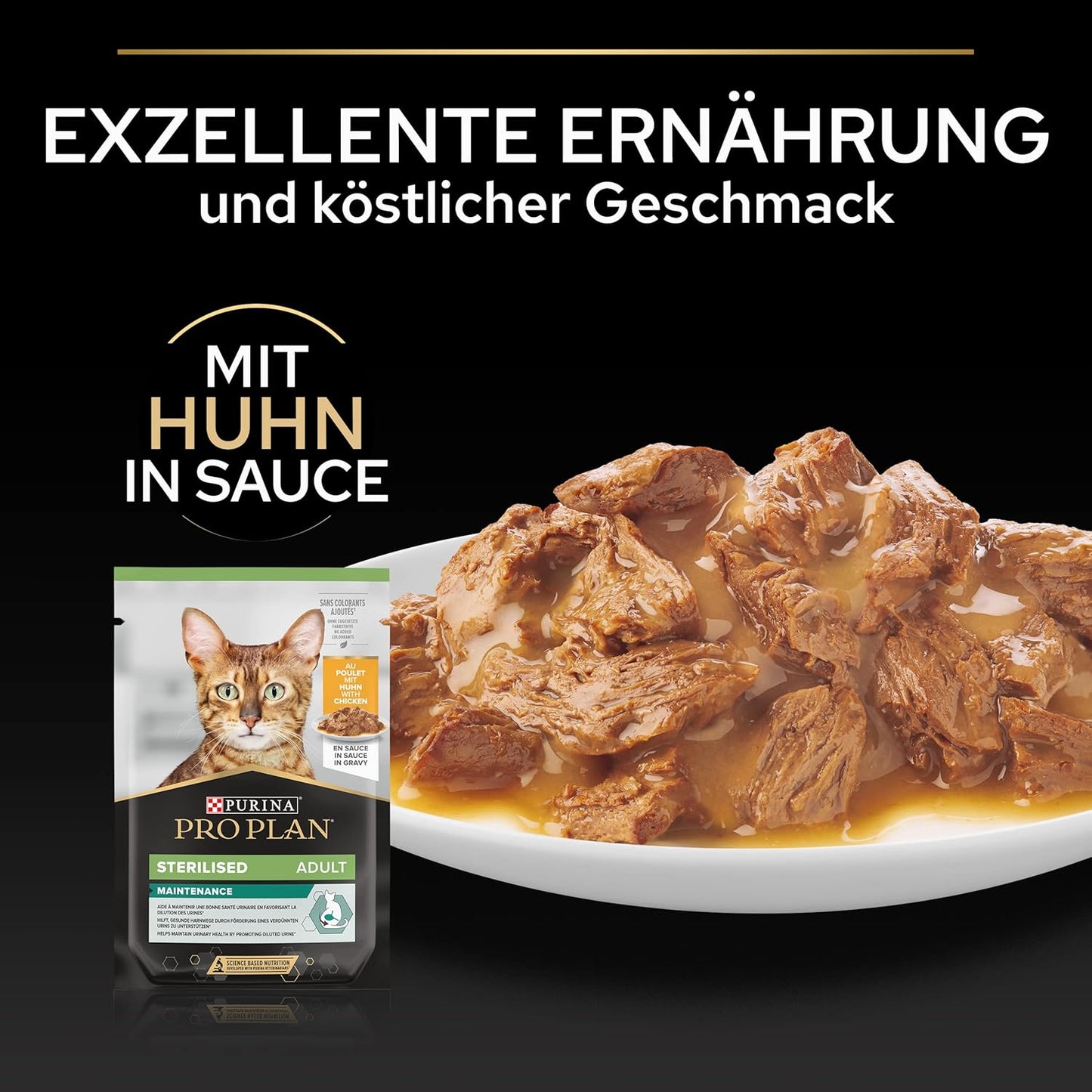 Purina Pro Plan Kitten Healthy Start — Kitten Dry Food | Chicken, Turkey, Duck, Ocean Fish, Delicate Digestion