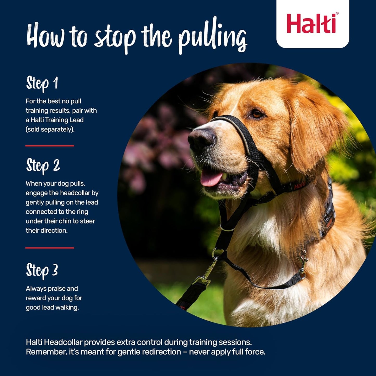 HALTI Headcollar UK Bestselling Dog Head Harness to Stop Pulling on the Lead, Easy to Use, Padded Nose Band, Adjustable & Reflective, Professional Anti-Pull Training Aid for Large Dogs