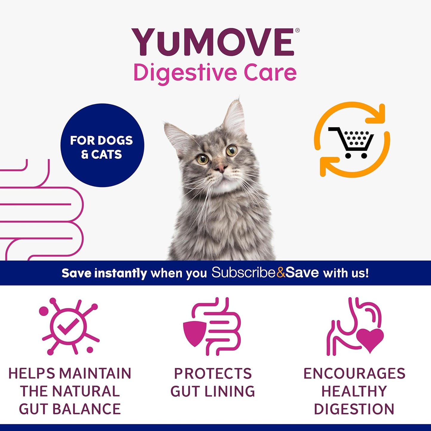 YuMOVE Digestive Care PLUS, Dogs & Cats Pre and Probiotics Supplement for Gut Health, Digestive Support Veterinary Strength with Fast-acting Ingredients, All Ages and Breeds, 60 Sachets