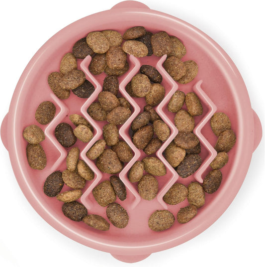 Outward Hound Puppy Slow Feeder Bowl – Slows Eating, Anti-Choking & Digestive Support for Dogs & Cats