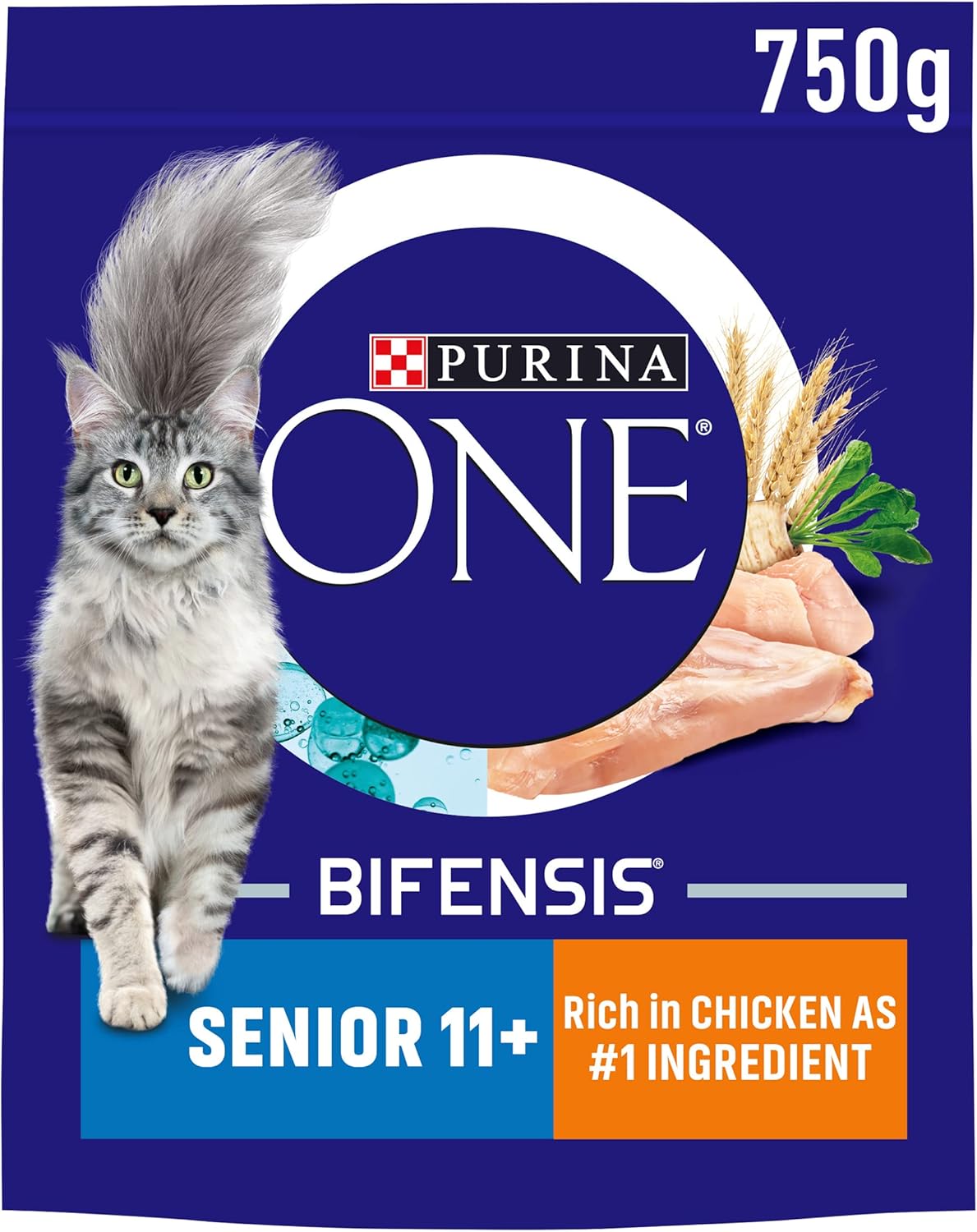 Purina ONE Dry Cat Food – Kitten, Adult & Senior