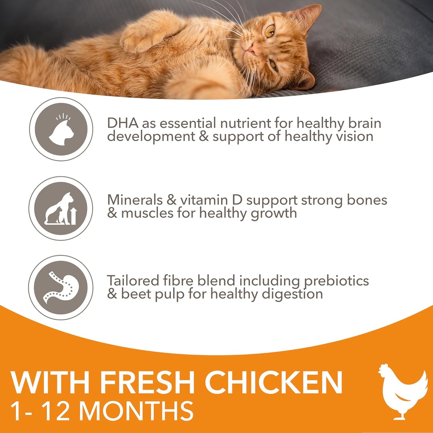 IAMS for Vitality Kitten Food with Fresh Chicken – Dry & Wet Food for Healthy Growth